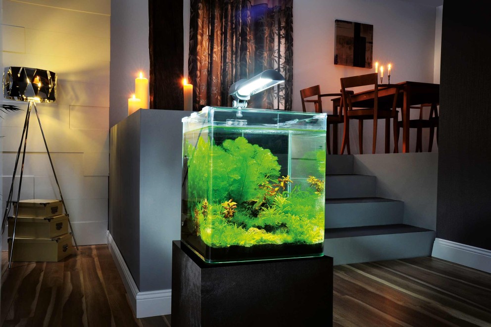 Nano aquarium Nano aquarium