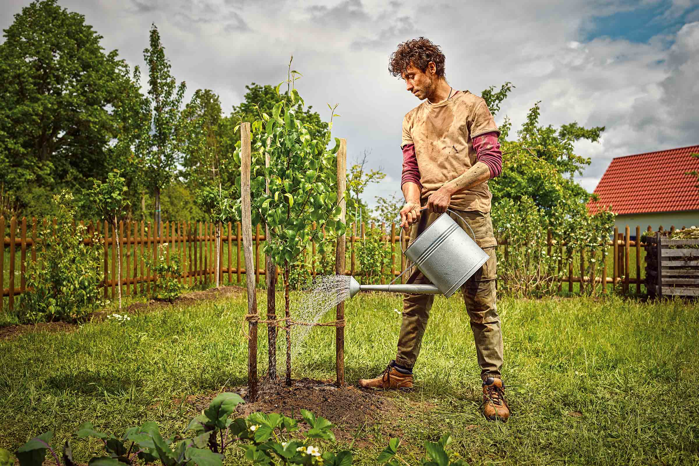 Een man geeft een jonge boom water met een gieter in de tuin.