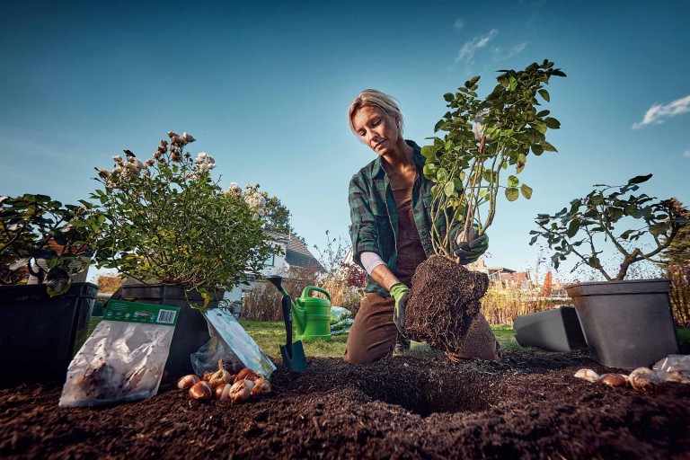 Tuinplanten verzorgen