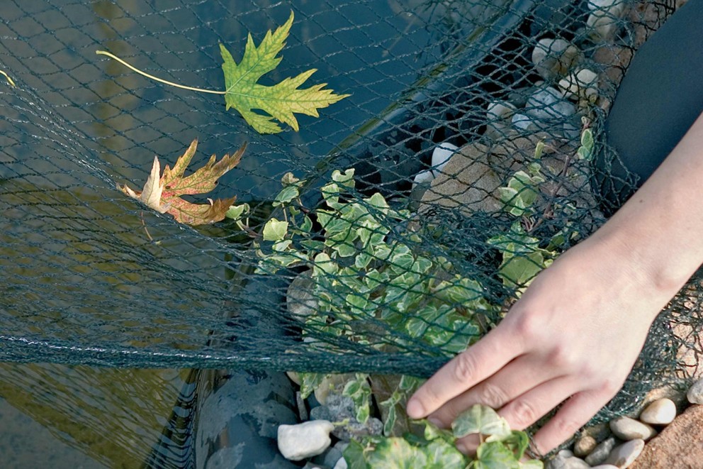 Herfst vijveronderhoud | HORNBACH! Herfst vijveronderhoud | HORNBACH!