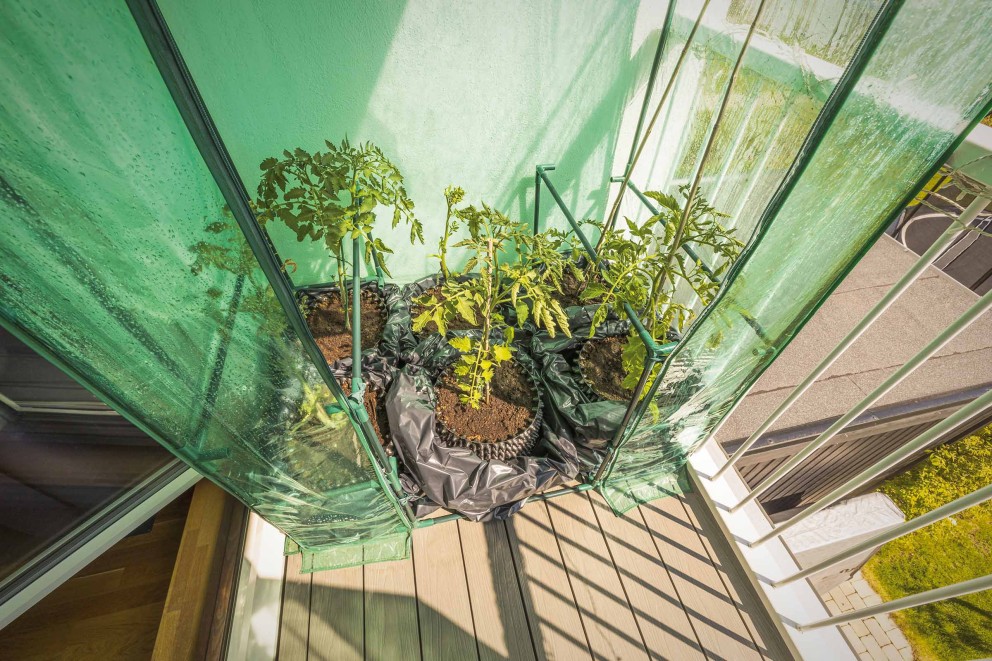 Kweekkas op balkon | HORNBACH Kweekkas op balkon | HORNBACH