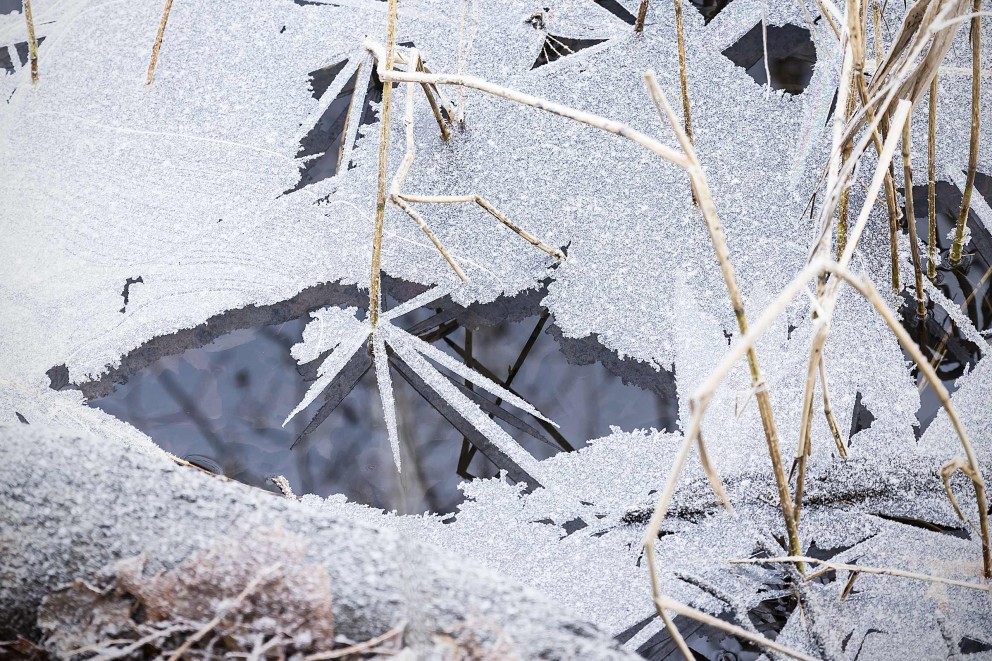 Winter vijveronderhoud | HORNBACH! Winter vijveronderhoud | HORNBACH!