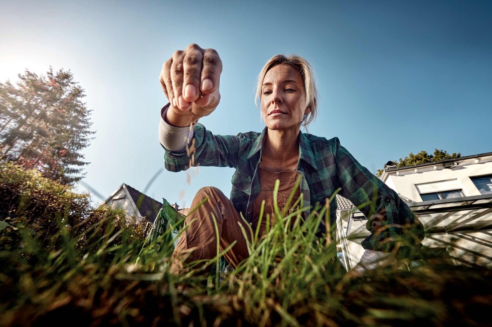 zaaien met FloraSelf . HORNBACH zaaien met FloraSelf . HORNBACH