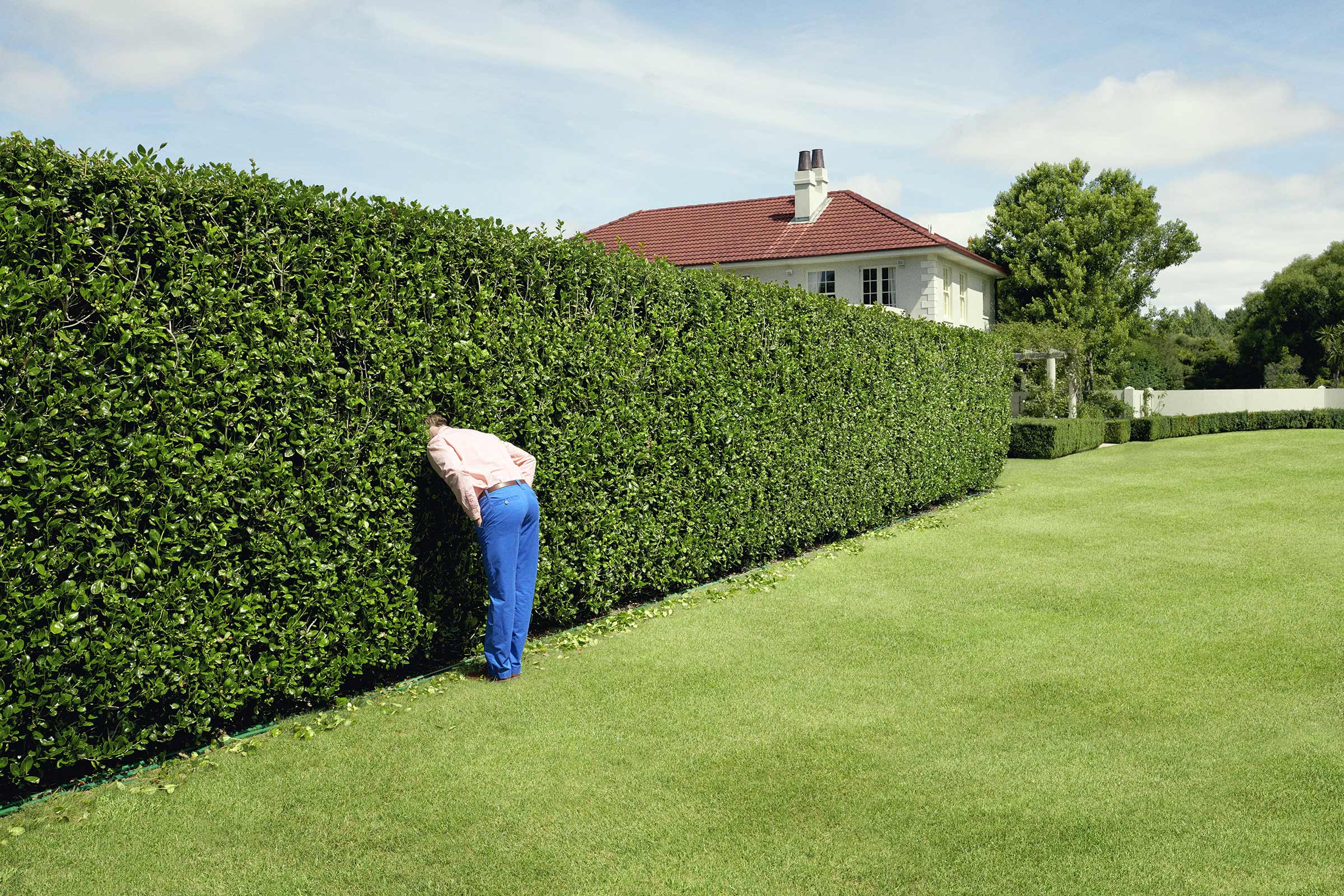 Man kijkt in een dichte, gesnoeide heg in een tuin