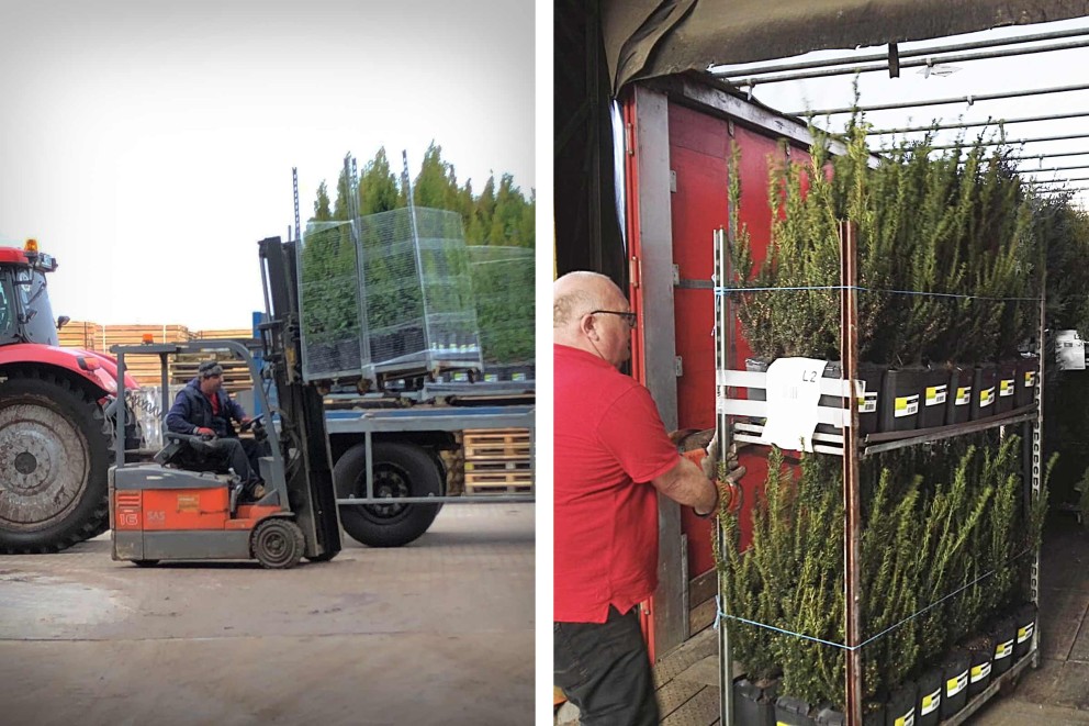 Planten verzenden | voorbereiding | HORNBACH Planten verzenden | voorbereiding | HORNBACH