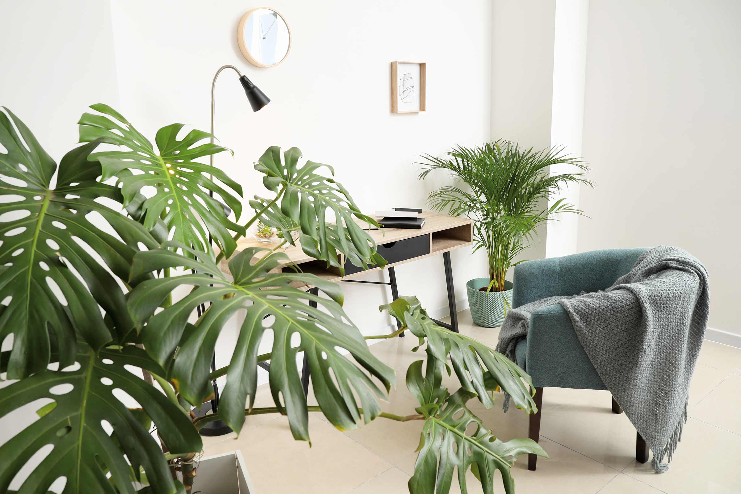 Lichte kamer met bureau, fauteuil en kamerplanten