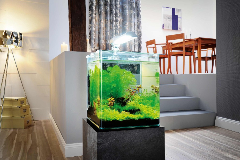 Nano aquarium Nano aquarium