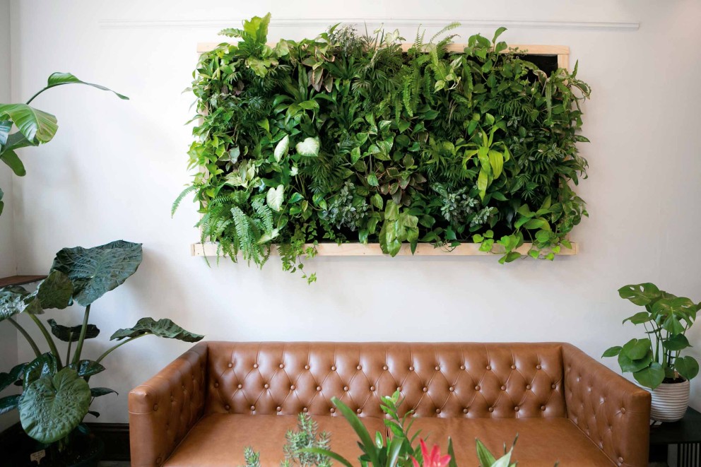 Hangplanten aan de muur