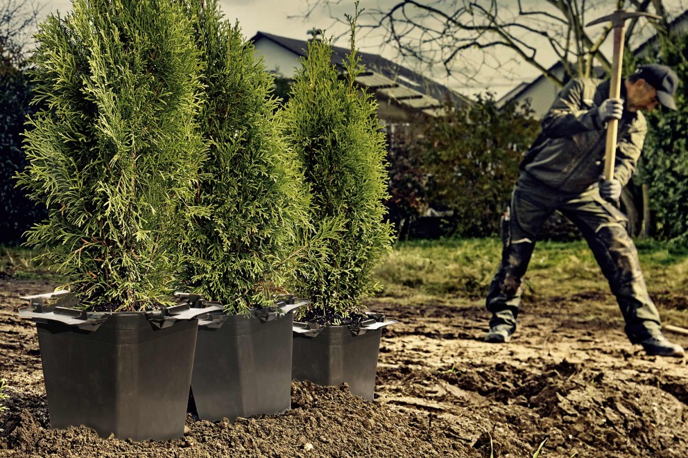 Planten verzenden | ClickCo planten | HORNBACH Planten verzenden | ClickCo planten | HORNBACH