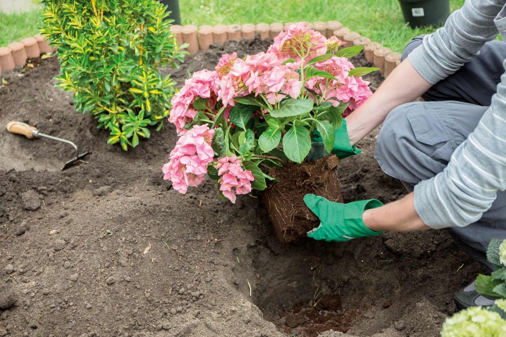 Bloemenperk aanleggen | bloembed plannen | HORNBACH Bloemenperk aanleggen | bloembed plannen | HORNBACH