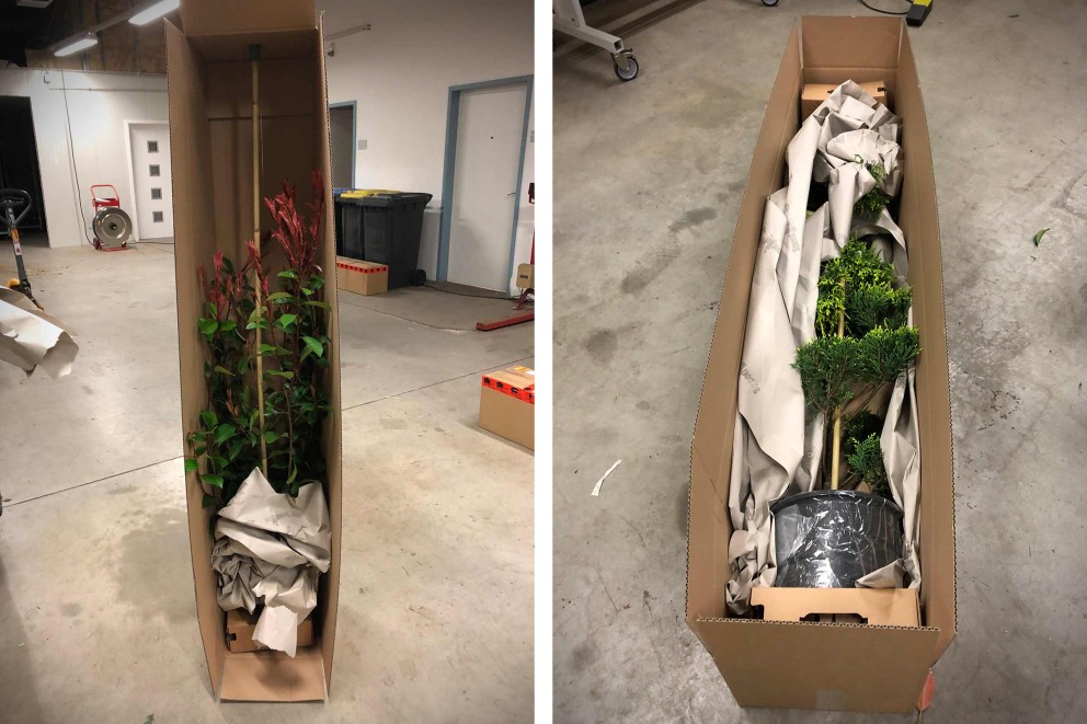 Planten verzenden | verpakking | HORNBACH Planten verzenden | verpakking | HORNBACH