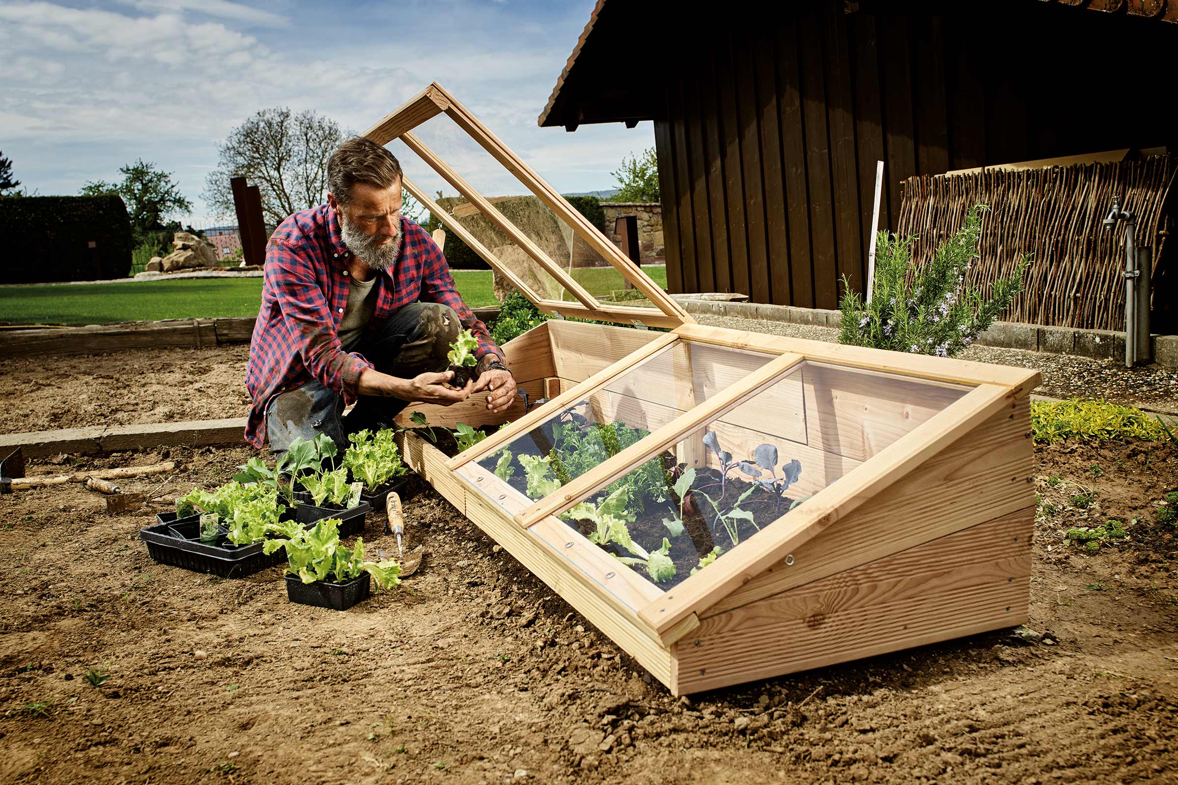 Man plant zaailingen in een houten koude bak met ramen