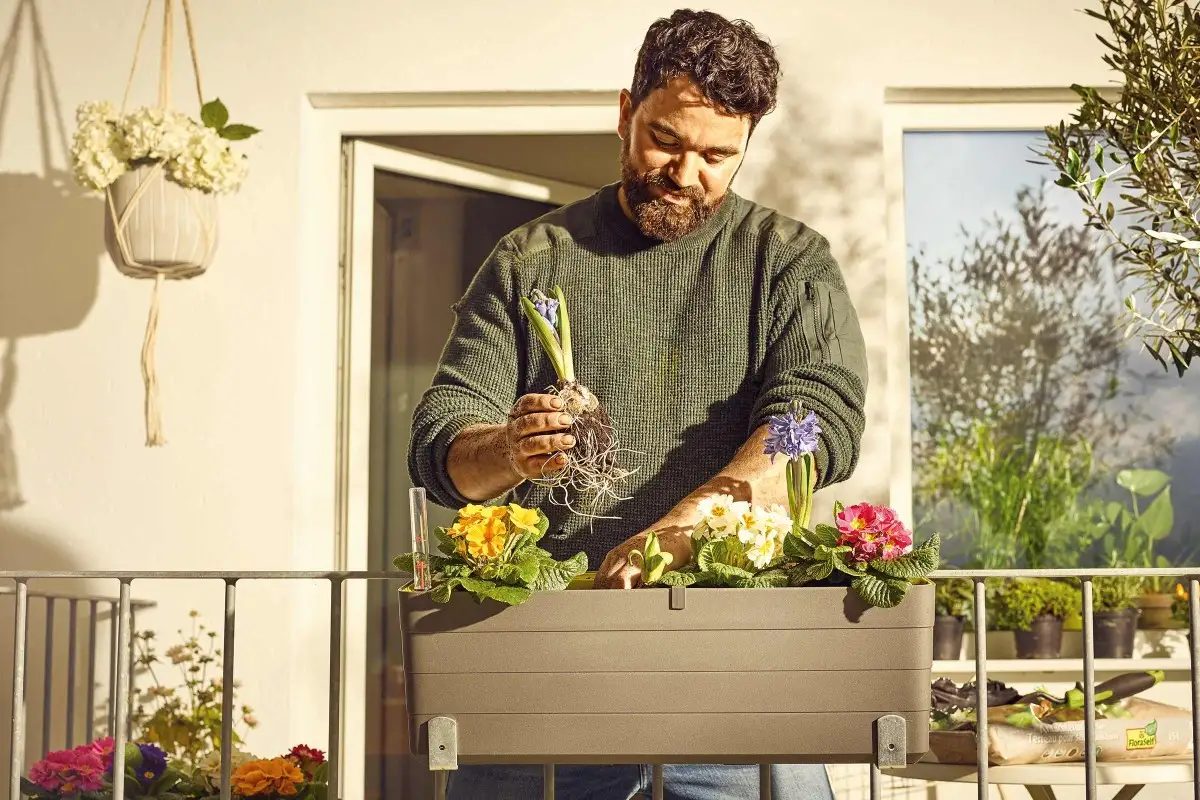 Bloempotten en plantenbakken l HORNBACH
Bloempotten en plantenbakken l HORNBACH