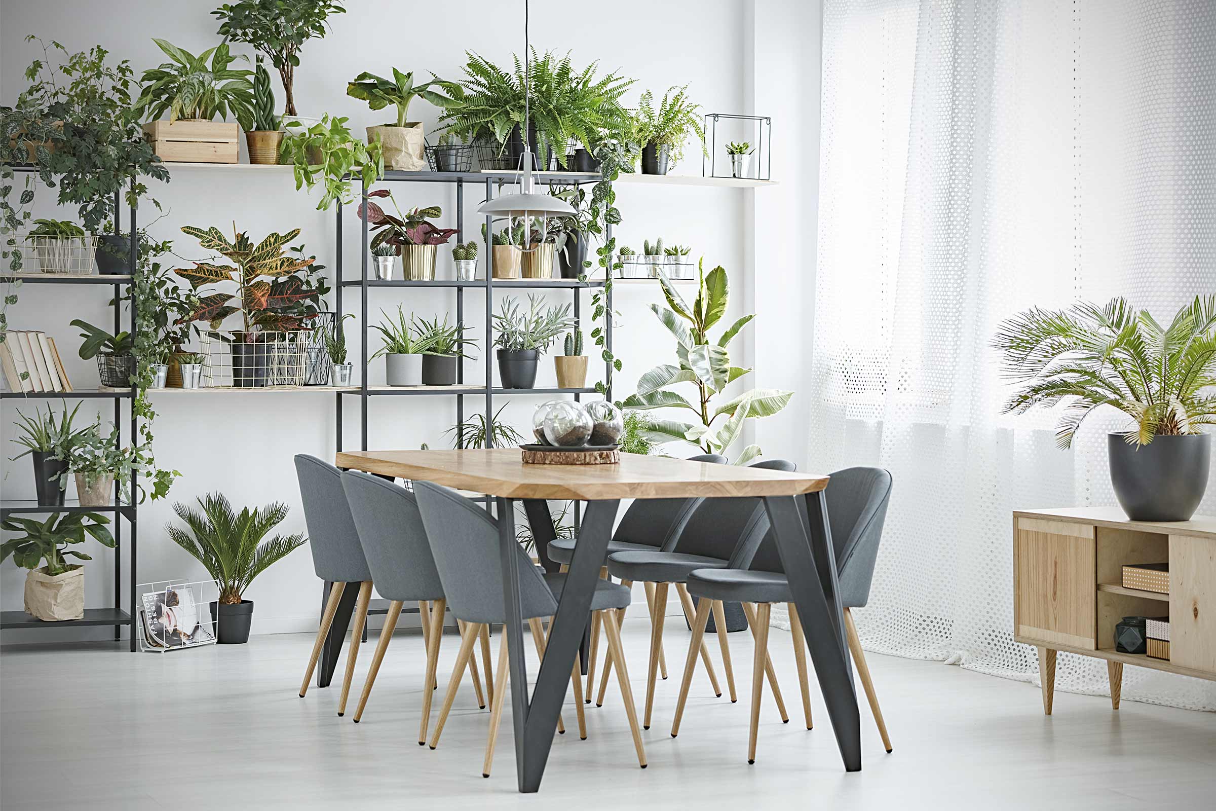 Lichte kamer met eettafel, stoelen, rek en kamerplanten