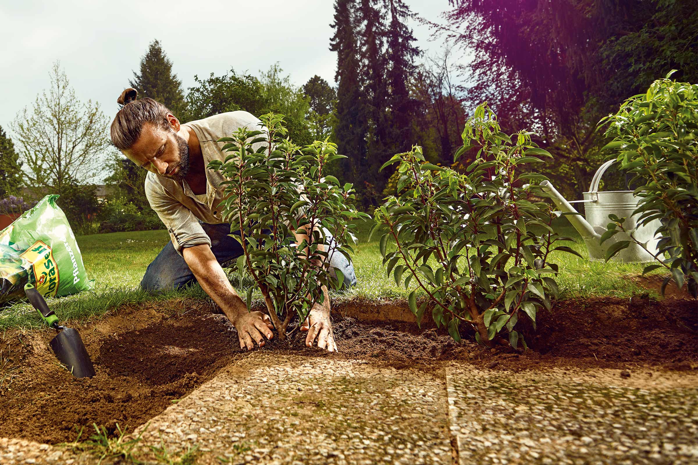 Man plant jonge struiken in de tuin met potgrond, een schep en een gieter.