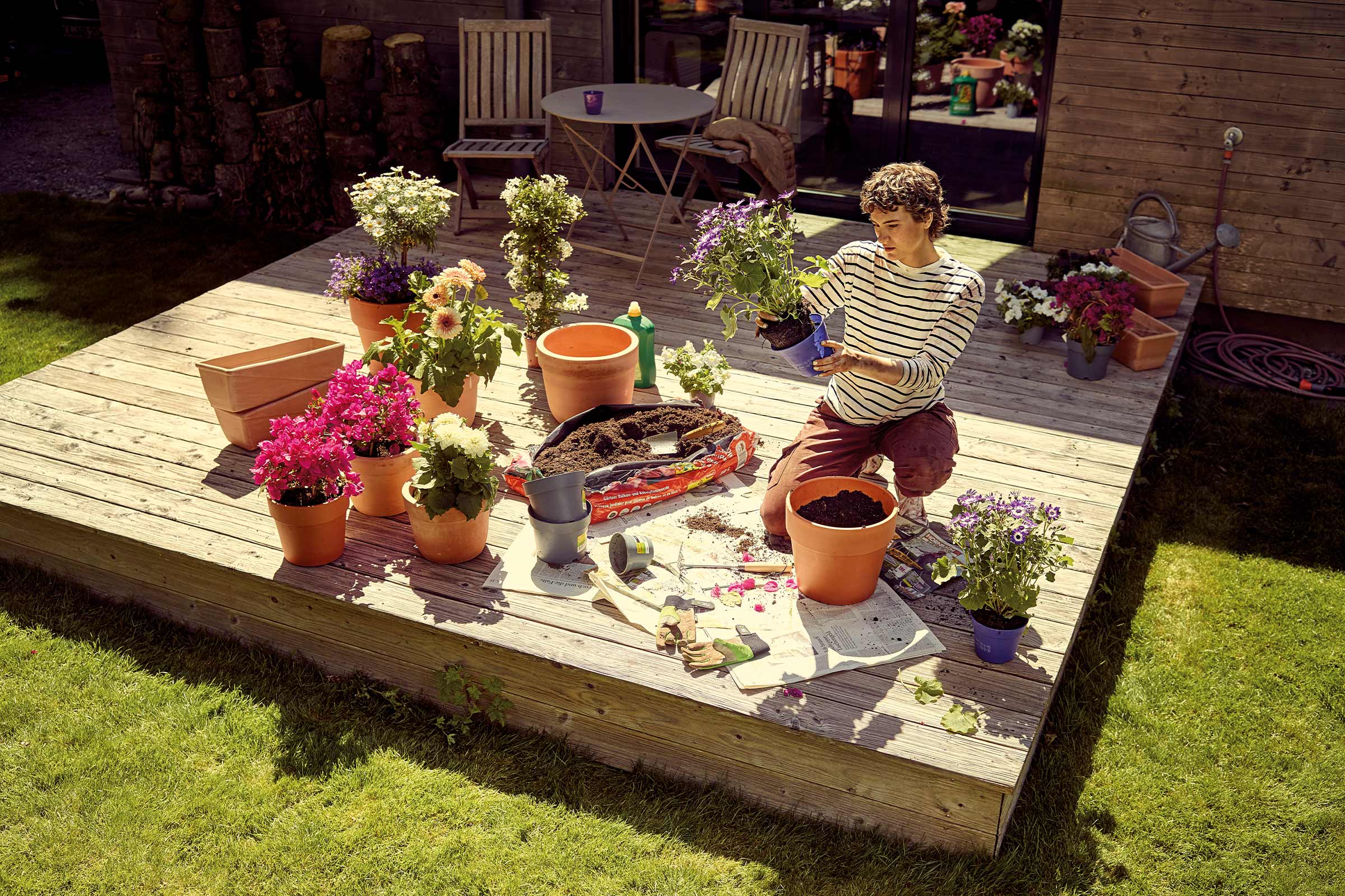 Een persoon plant bloemen op een houten terras met bloempotten en potgrond.