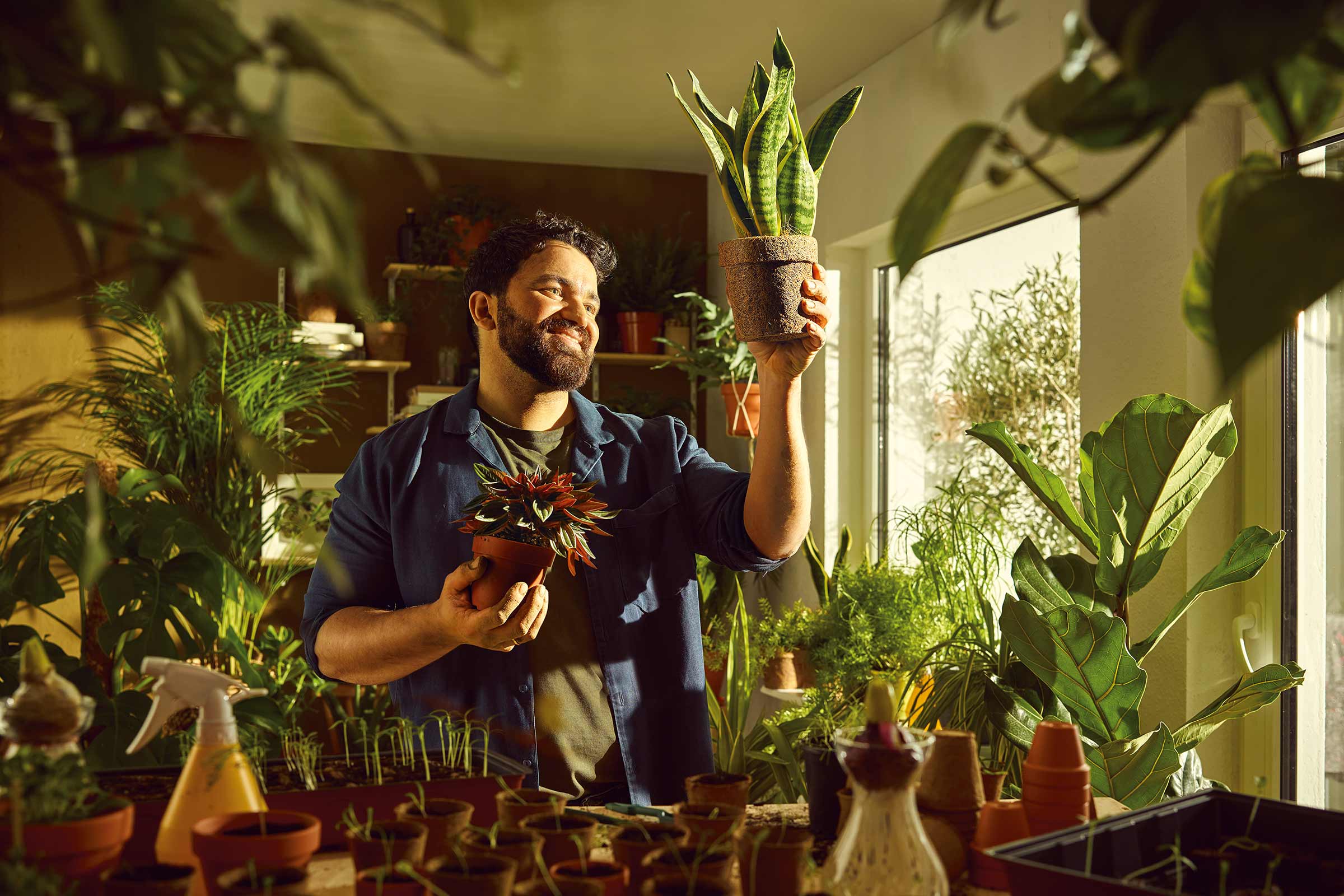 Man houdt kamerplanten in potten in een ruimte met planten