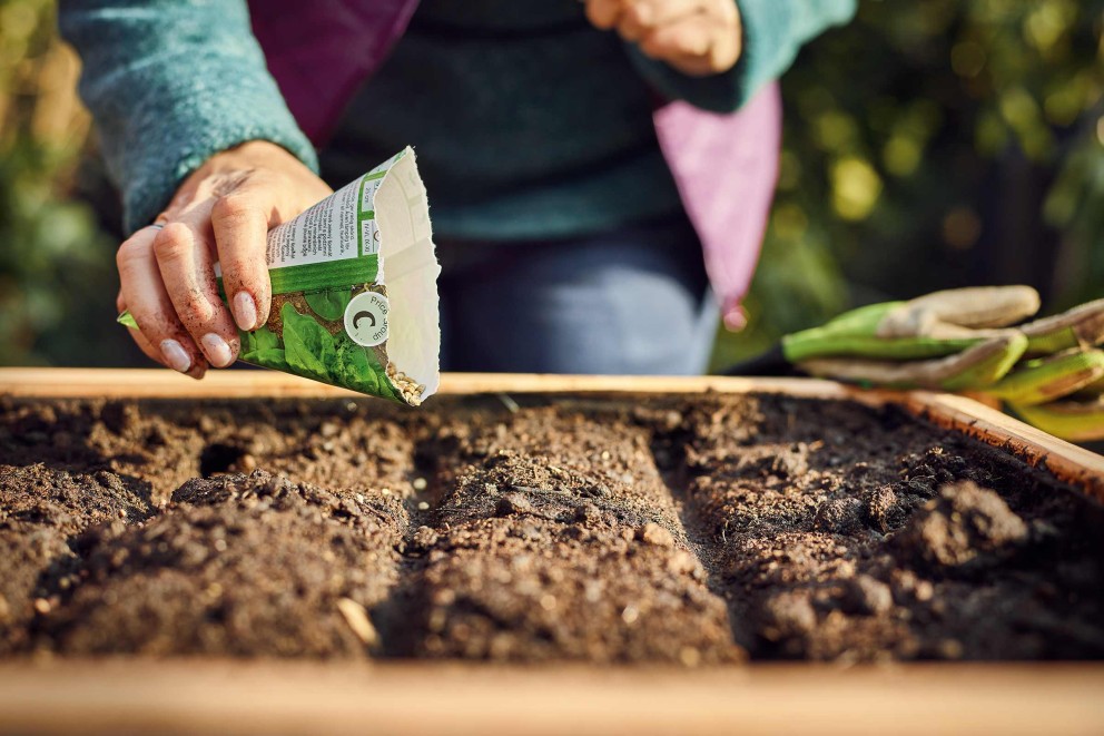 Urban gardening | kweek zelf je groentes | HORNBACH Urban gardening | kweek zelf je groentes | HORNBACH