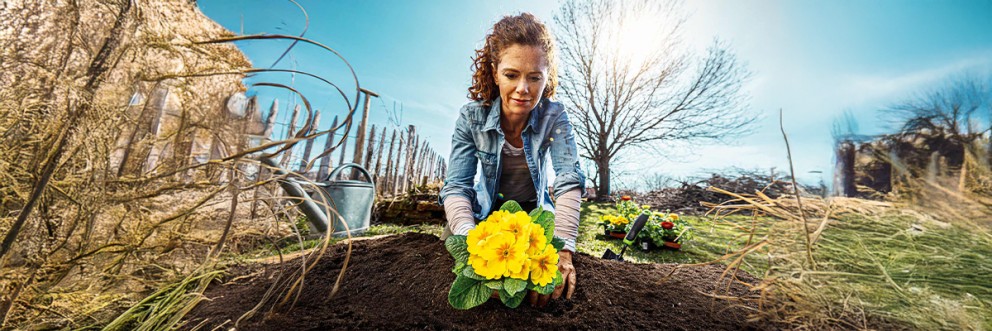 Tuin voorjaarsklaar maken . HORNBACH Tuin voorjaarsklaar maken . HORNBACH