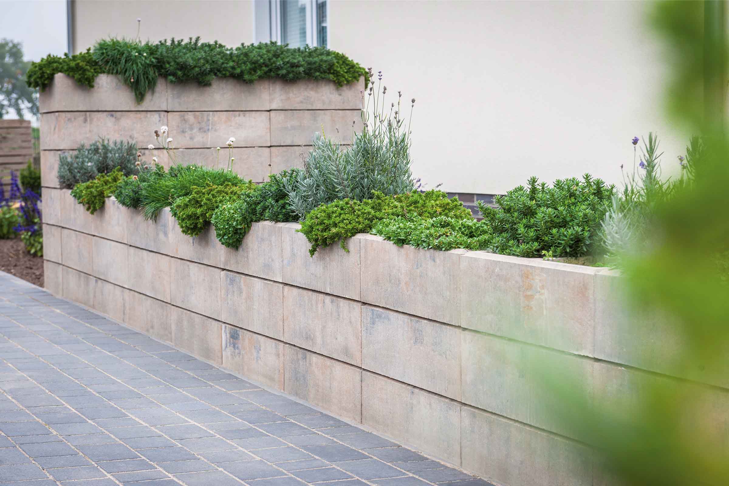 Tuinmuur van betonblokken met planten en een betegeld pad