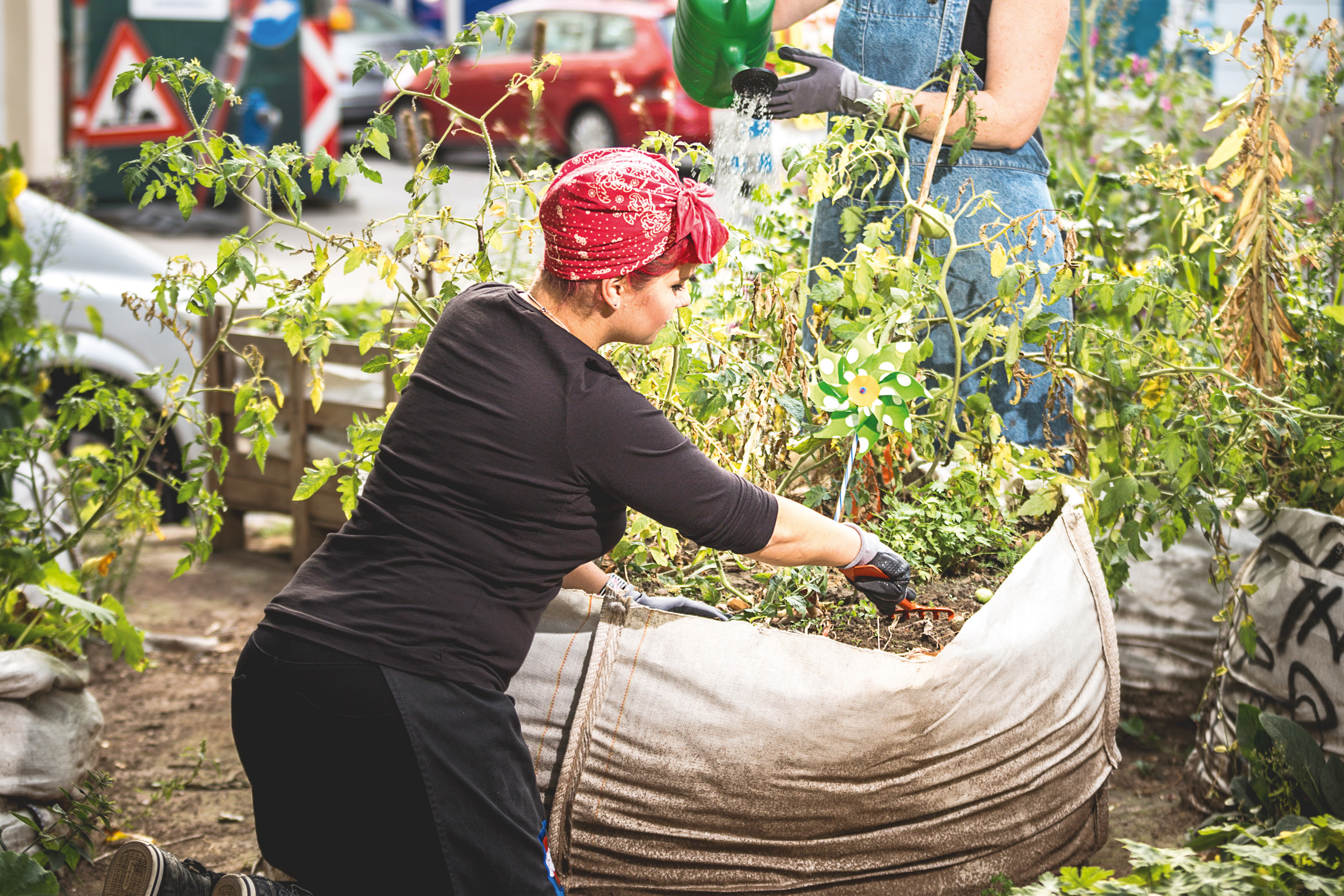 Twee personen besproeien en beplanten een verhoogde tuinbak in de tuin.