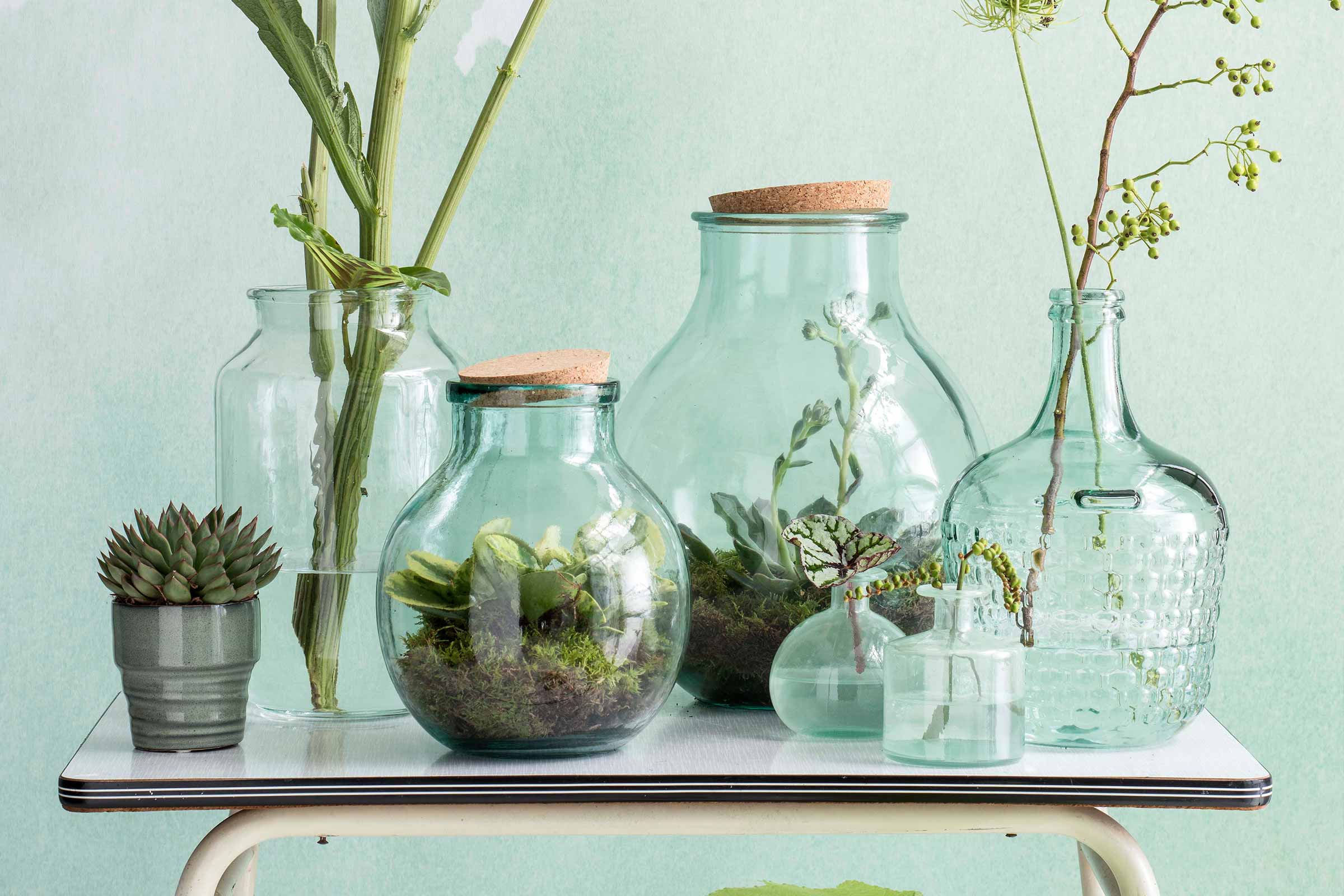 Diverse glazen vazen met planten en bloemen op een tafel