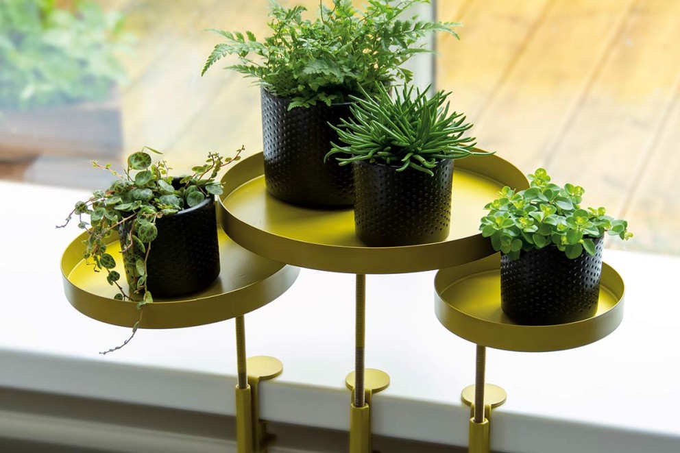 Vensterbankklem voor je planten . HORNBACH