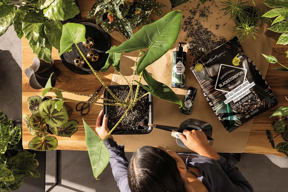 LECHUZA PON water geven planten . HORNBACH LECHUZA PON water geven planten . HORNBACH