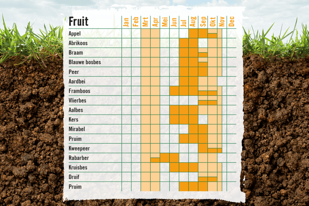 Bekijk hier de plant en oogstkalender van fruit . HORNBACH