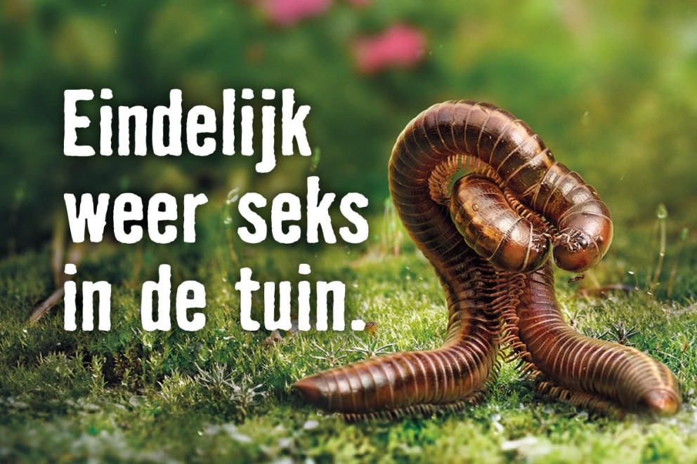 Biodiversiteit in je tuin . HORNBACH Biodiversiteit in je tuin . HORNBACH