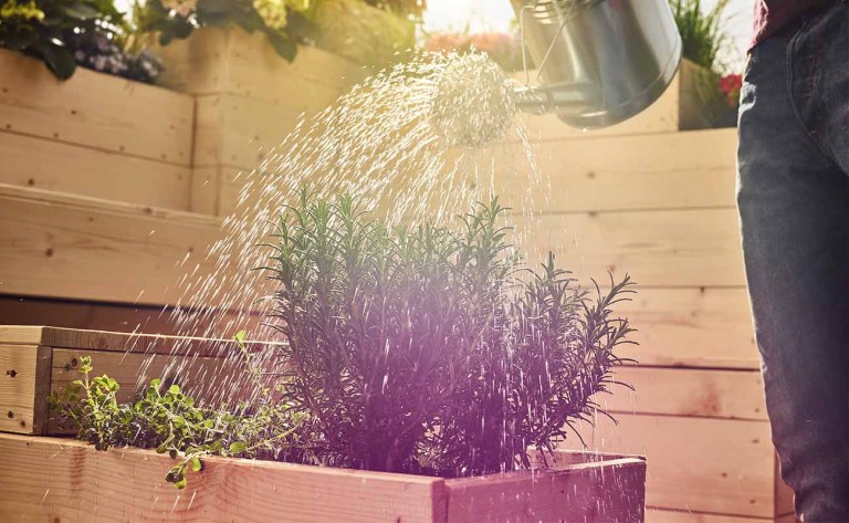 Omgaan met droogte in je tuin