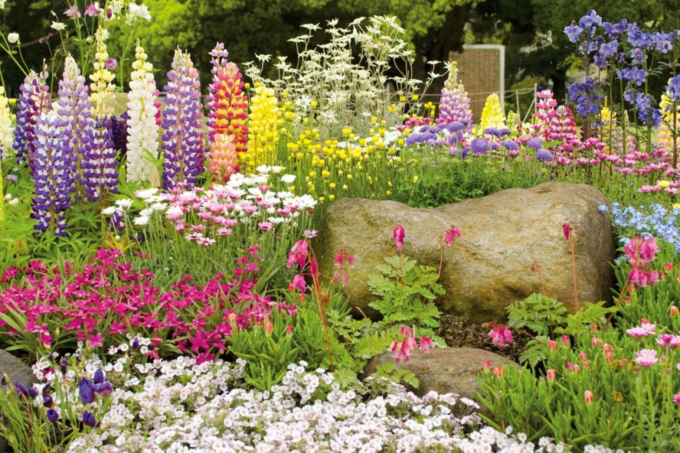 Bloembollen planten | HORNBACH Bloembollen planten | HORNBACH