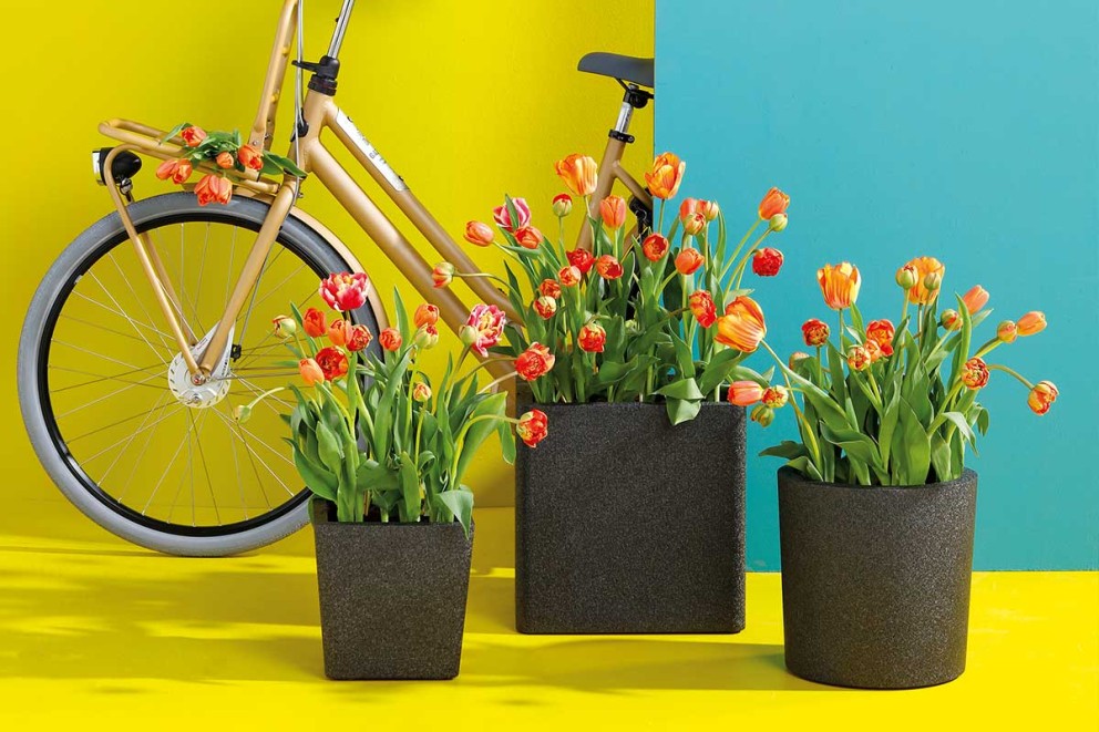 Duurzame bloempotten IQ . HORNBACH Duurzame bloempotten IQ . HORNBACH