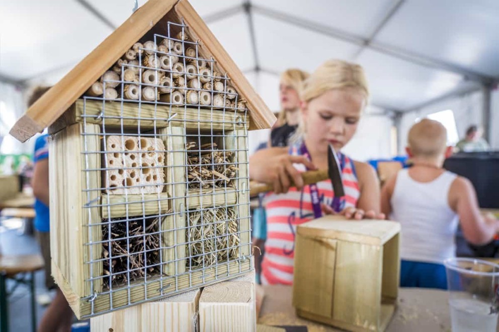 Kind bouwt insectenhotel met hamer en hout