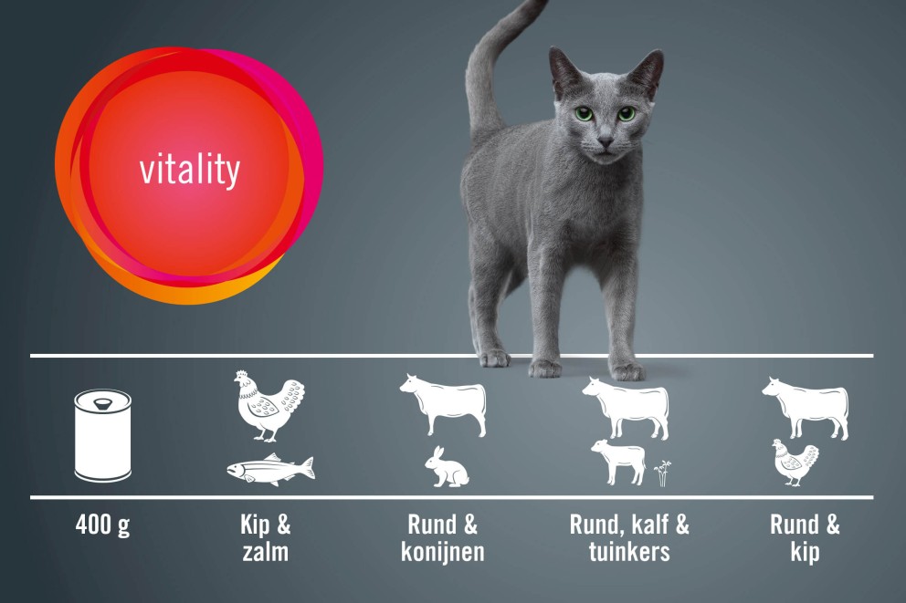 
				Finevo Vitality Cat HORNBACH

			