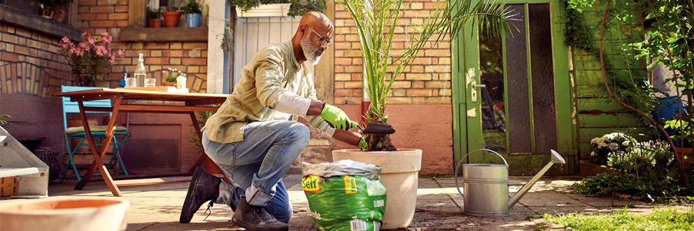 Tuin en planten . HORNBACH Tuin en planten . HORNBACH