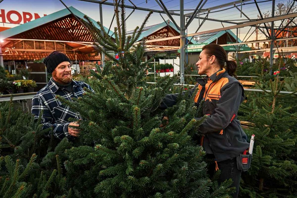 Echte kerstbomen | HORNBACH Echte kerstbomen | HORNBACH