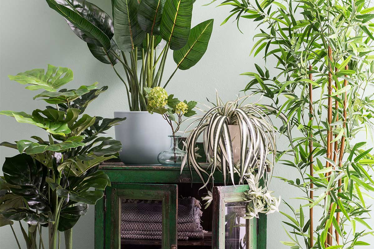Decoratieve groene kunstplanten op een kast gearrangeerd