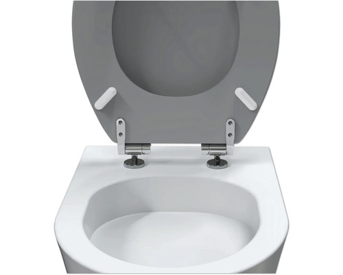 Toiletzitting met deksel, bevestiging en softclose mechanisme