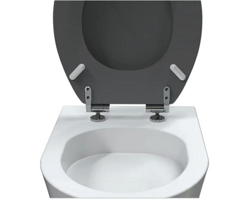 Toiletzitting met softclose systeem op een toilet