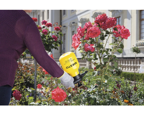 Gebruik van een MESTO drukspuit in de tuin voor rozenverzorging
