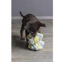 Een puppy speelt met een knuffel voor honden.