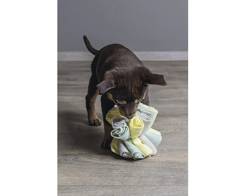 Een puppy speelt met een knuffel voor honden.