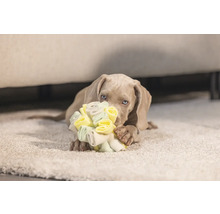 Weimaraner puppy met hondenspeelgoed op een tapijt