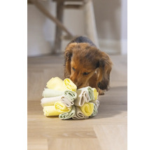 Teckelpuppy speelt met een stoffen hondenspeeltje