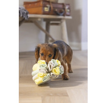 Teckel draagt hondenspeelgoed in zijn bek
