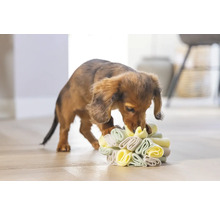 Teckel puppy speelt met een interactief hondenspeeltje.