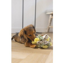 Teckel puppy speelt met een interactief hondenspeeltje op de vloer.