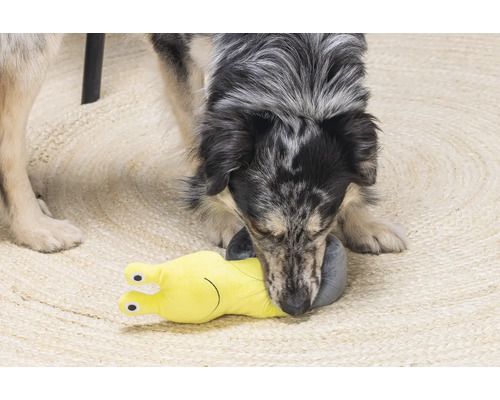 Een hond speelt met een geel slakkenhondenspeeltje op een tapijt.