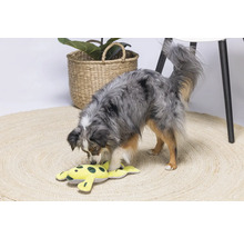 Een hond speelt met een geel knuffelkikker op een rond vloerkleed.